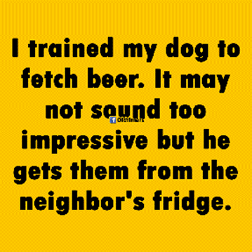 Dog Fetches Beer